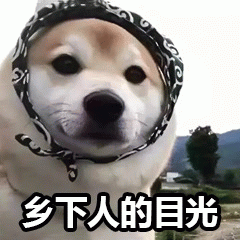示例图片